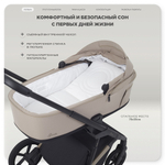 Детская коляска Rant Garda 3 в 1 с автокреслом Evomax Grey Cacao
