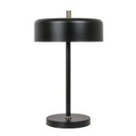 Настольная лампа Arte Lamp SKAT A7052LT-2BK