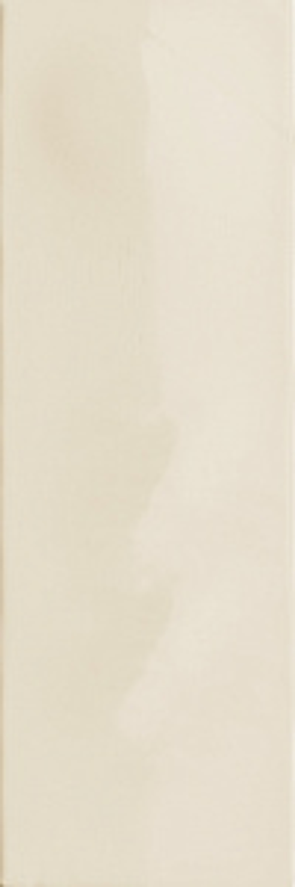 Керамогранит 41zero42 SUPERCLASSICA SCG Riviera Beige 5х15 (8,5мм.) арт.4101098