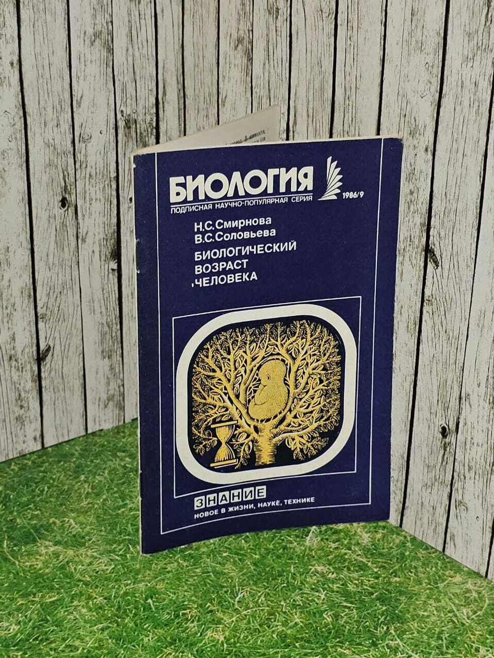 Биологический возраст человека. Смирнова Нина Сергеевна, Соловьева В. С.