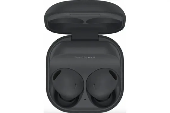 Наушники Samsung Galaxy Buds 2 Pro Graphite