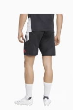 Шорты adidas Liverpool FC 26/27 Training - черный