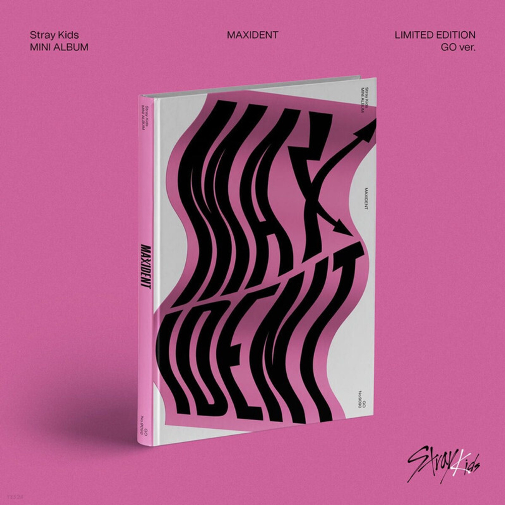 Альбом Stray Kids MAXIDENT GO ver. (limited ver.)