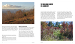 Naturalistic Planting Design. The essential guide