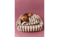 Лежак для животных Zara Home, фото 10