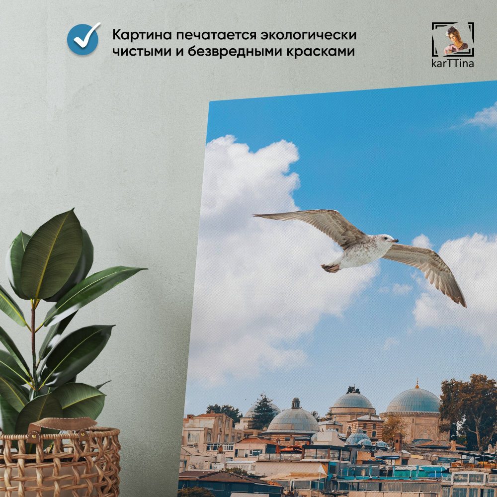 Картина karTTina "ДЕНЬ В СТАМБУЛЕ", 80х40 см