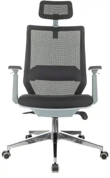 Кресло эргономичное Бюрократ MC-G615N-H черный Elastic-102 Neo Black сетка/ткань с подголов. крестов. алюминий