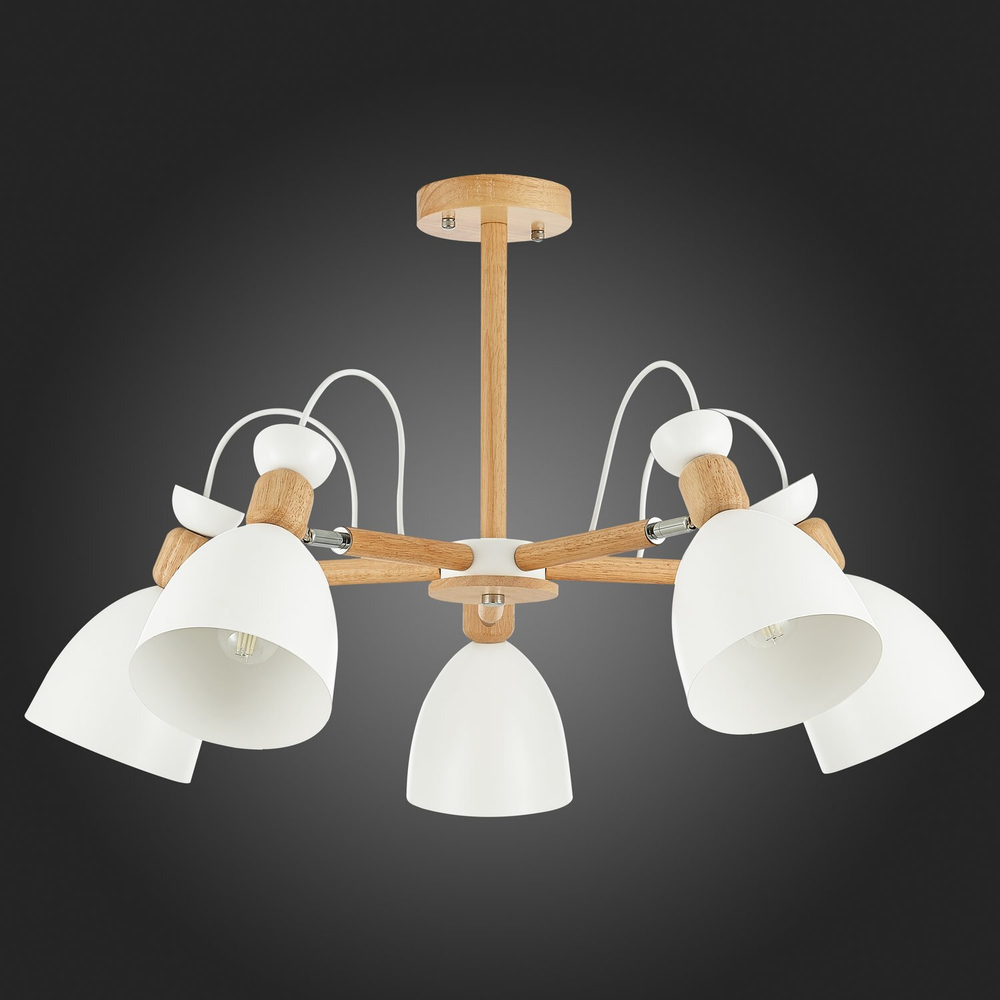 Светильник потолочный Evoluce Balcamo SLE103802-05