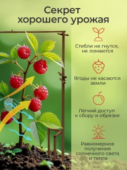 Удлинение шпалеры для малины на 50 см