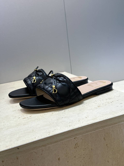 Шлепанцы Christian Dior