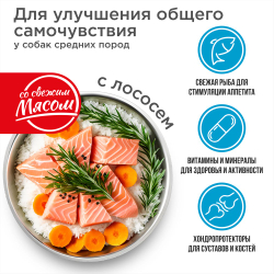 Корм сухой для взрослых собак средних пород, премиум полнорационный комплекс, улучшение общего самочувствия, с лососем, 2,5 кг, QUATTRO