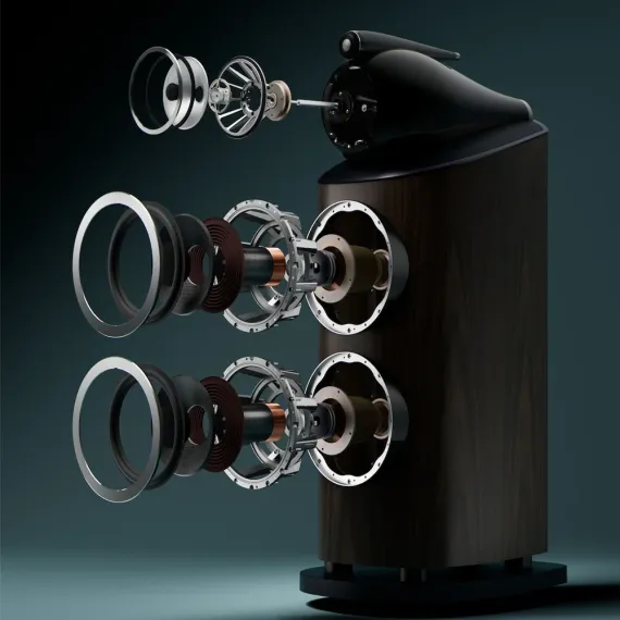Bowers &amp; Wilkins 801 D5 Dark Walnut