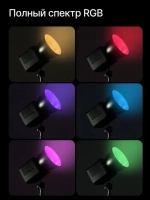 Осветитель светодиодный Raylab RL-40RGB-DR 2500K-6500K 3400mAh c рефлектором и диффузором