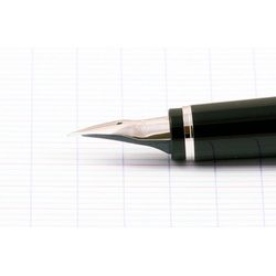 Перьевая ручка Pilot Falcon перо F (FE-25SR-BN-SF)