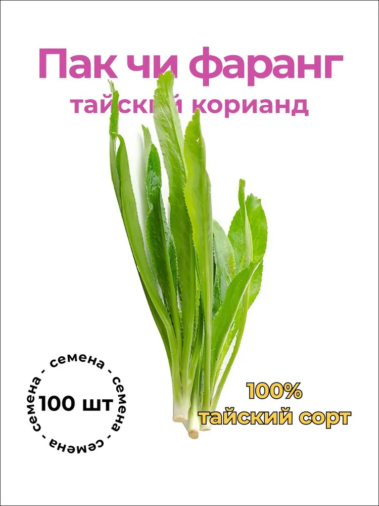 Пак чи фаранг - тайский кориандр — семена, 100 шт.