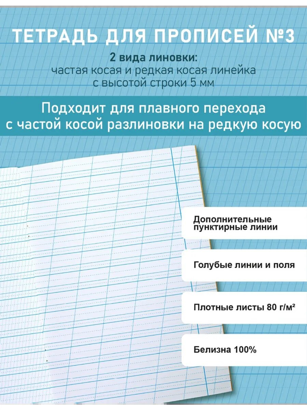 Набор тетрадей для прописей №3, 10 шт