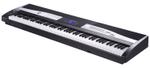 Kurzweil KA110