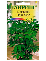ШЕФФЛЕРА ГРИН СТАР  КОМНАТНЫЕ 4601431016828 6828 43.78