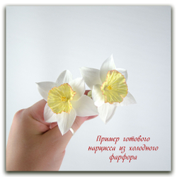 Цветок нарцисса