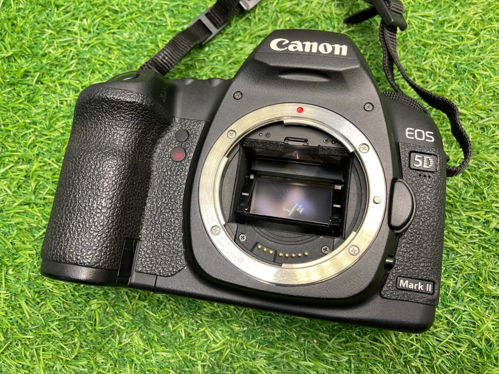 Canon EOS 5D Mark II 45.000 кадров