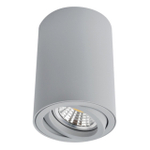 Накладной светильник Arte Lamp SENTRY A1560PL-1GY