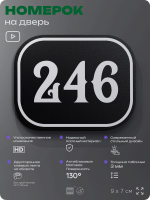 Номерок на дверь квартиры 246, для кабинета, офиса, шильдик 9 х 7 см, черный, Айдентика Технолоджи