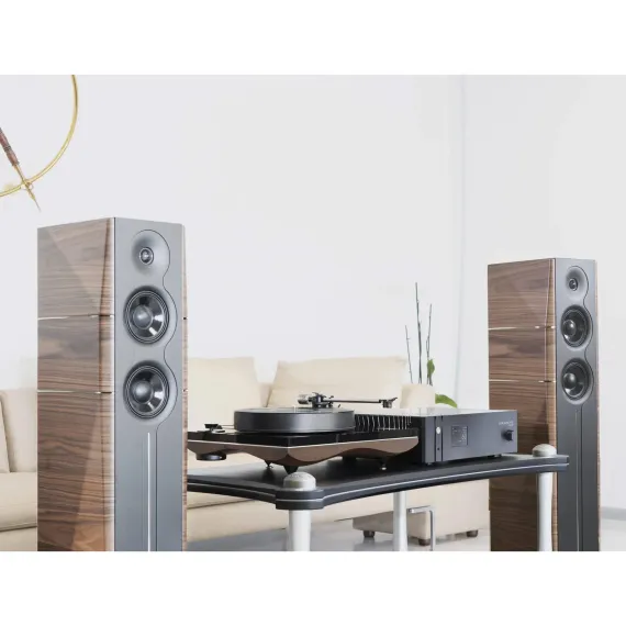 Gold Note A6 Evo II Glossy Walnut
