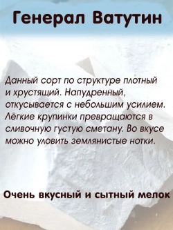 Мел "Генерал Ватутин" 300