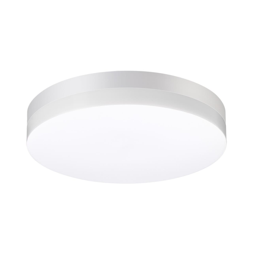 Уличный потолочный светодиодный светильник 358885 STREET NT22 белый IP54 LED 4000К 30W 220V OPAL