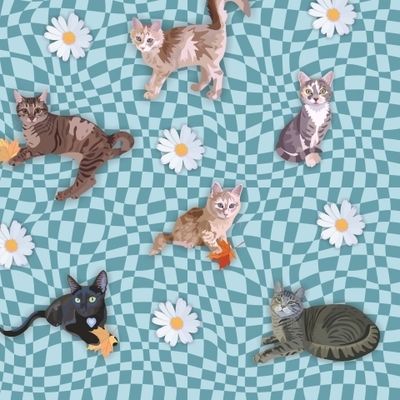 Котики, плед и ромашки