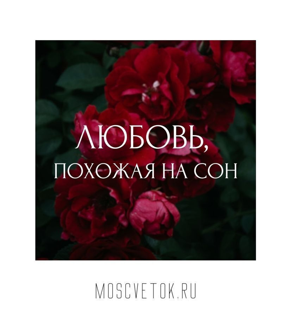 Открытка "Любовь, похожая на сон"