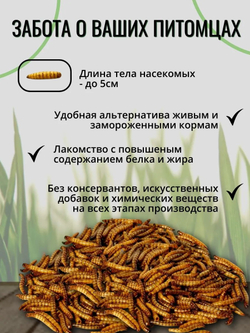 Консервированная черная львинка ONTO, 40 г