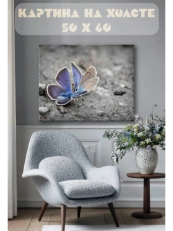 Картина на стену 40 X 50 Бабочки