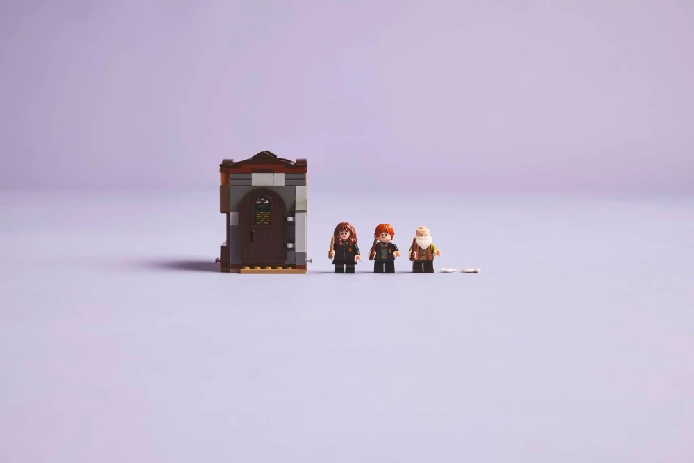 Конструктор LEGO Harry Potter 76442 Замок Хогвартс: Урок заклинаний