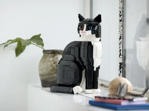 Конструктор LEGO Ideas 21349 Чёрно-белый кот