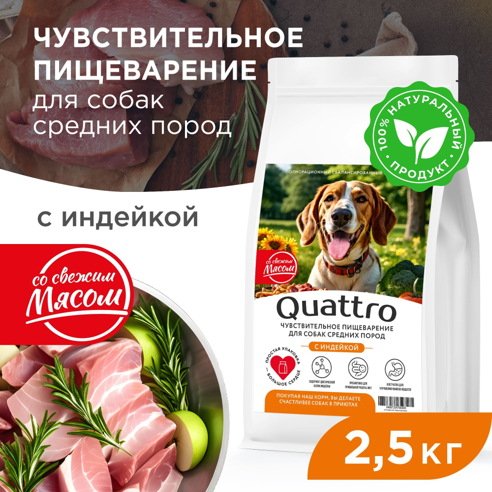 Корм сухой для взрослых собак средних пород, премиум полнорационный комплекс, чувствительное пищеварение, с индейкой, 2,5 кг, QUATTRO