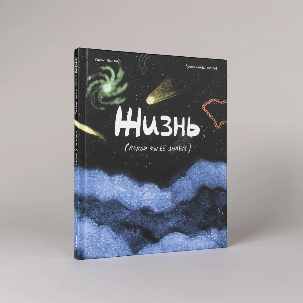 Жизнь (какой мы её знаем)