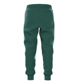 Детские брюки Bj_rn Borg Essential 1 - posy green