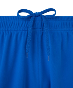 Шорты игровые Jogel DIVISION PerFormDRY Union Shorts, синий Z2