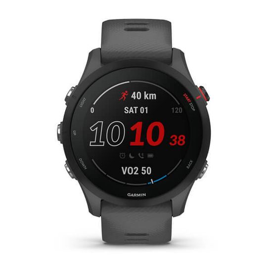 Смарт часы Forerunner 255 темно-серые 010-02641-10