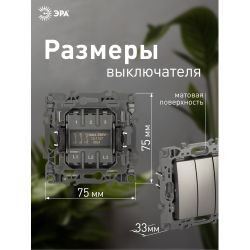 Выключатель ЭРА Серия 12 12-1107-16 тройной, 10АХ-250В, титан | Эра 12