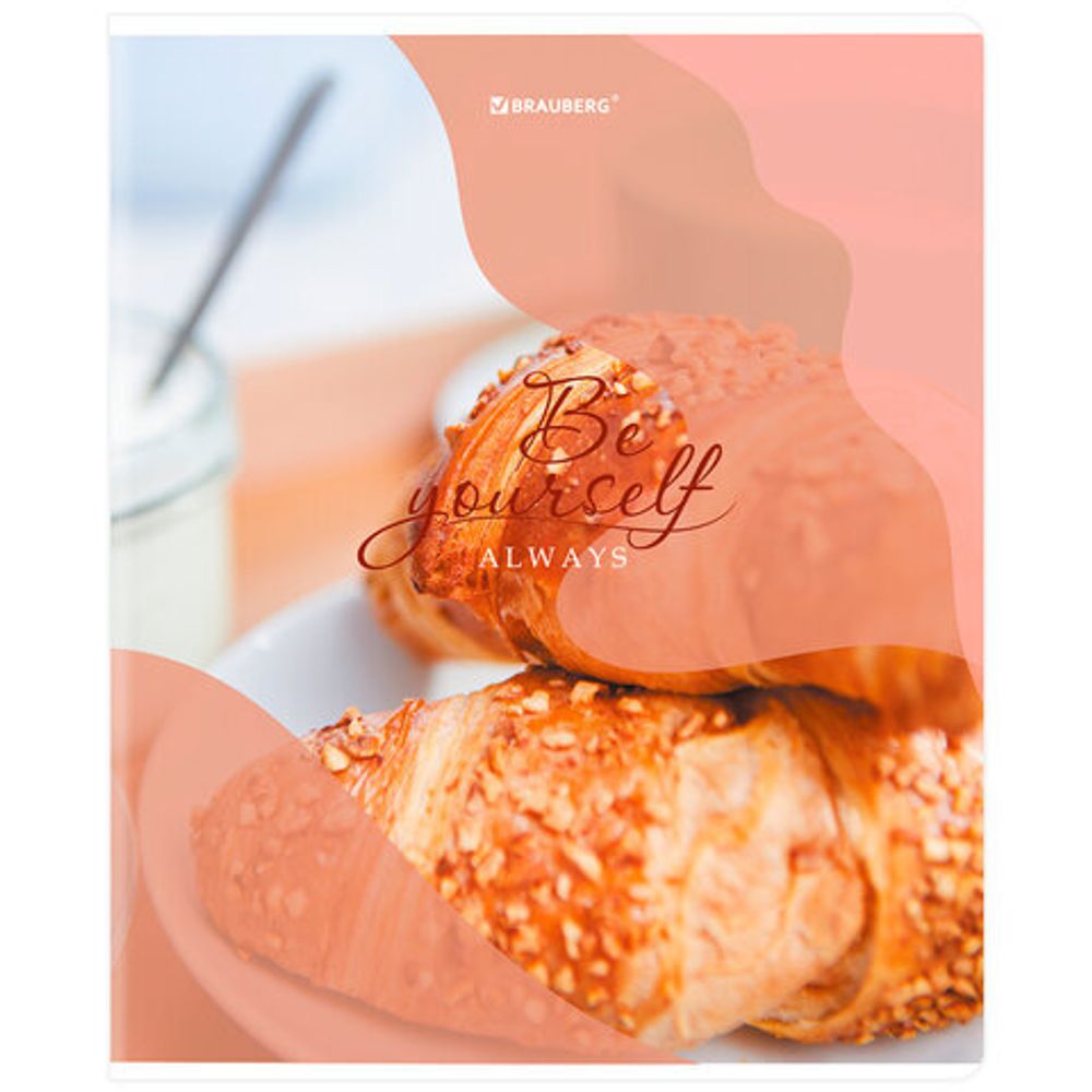 Тетрадь А5, 48 л., BRAUBERG, скоба, клетка, матовая ламинация, выборочный лак, "Sweets", 404373, 5шт