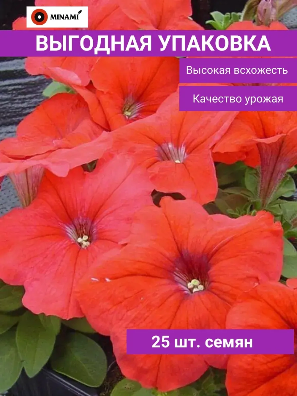 Петуния Мамбо F1 красная 25шт