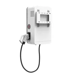 Зарядная станция Simple Energy Lightning Celerrimus, 30 кВт (SE-DC-30-1)