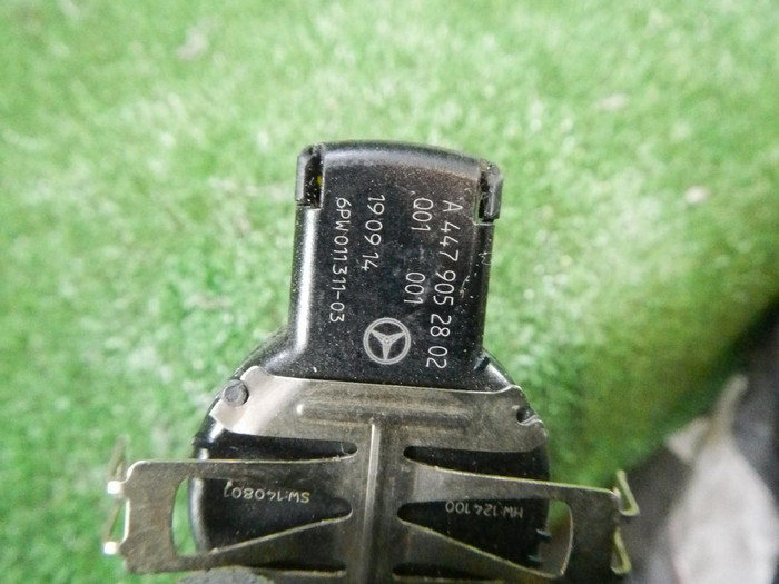 DSCN5547.JPG