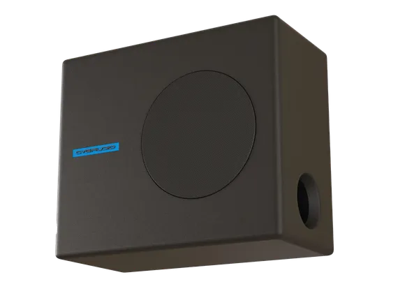 CVGAUDIO SUBone model A-6BL/CR/T пассивный трансляционный сабвуфер