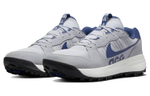 Nike Acg Lowcate Wolf Grey Navy