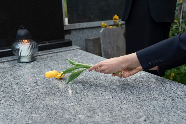 Социальные похороны Социальные похороны