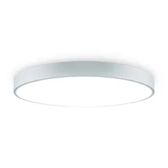Потолочный светильник Sprida FR6129CL-L80GR Freya