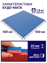 Будо-мат EVA DFC 100 x 100 см, 20 мм, цвет сине-красный
